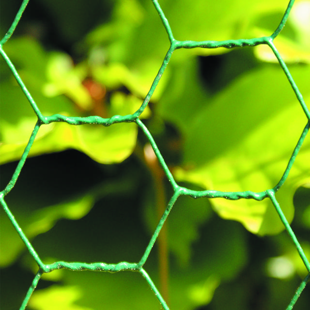 Chicken wire green 25x1000 mm, 10 m