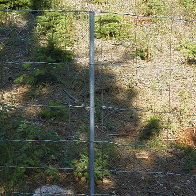 Galvanized fence post ½