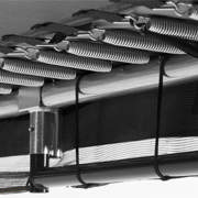 DETAIL5509876